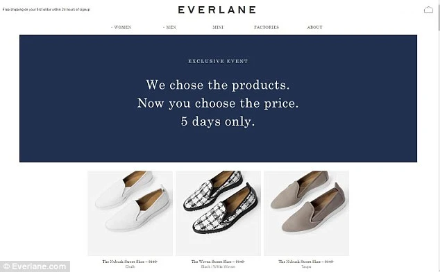 Everlane Flash Sale Limited-Time Offer Example
