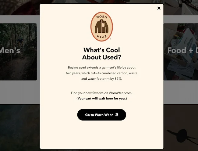 Worn Wear exit intent popup highlighting sustainability and saved cart